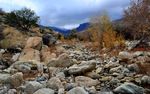 photo thumbnail #9