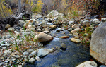 photo thumbnail #10