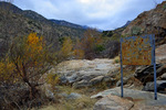 photo thumbnail #13