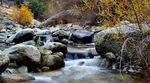 photo thumbnail #15