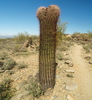 photo thumbnail #14