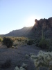 photo thumbnail #12