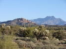 photo thumbnail #13