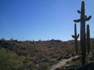 photo thumbnail #2