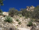 photo thumbnail #3