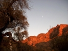 photo thumbnail #10