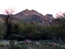 photo thumbnail #1
