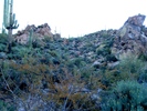 photo thumbnail #2