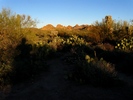 photo thumbnail #4