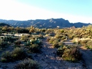 photo thumbnail #6