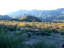 photo thumbnail #7
