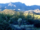 photo thumbnail #8