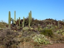 photo thumbnail #12