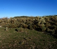 photo thumbnail #13