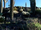 photo thumbnail #15