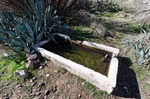2012-01-07 :1: Packsaddle Trail :: jochal