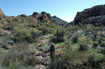 photo thumbnail #12