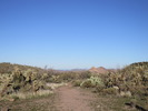 photo thumbnail #9