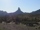 photo thumbnail #11