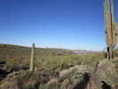 photo thumbnail #12