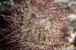 photo thumbnail #6