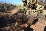 photo thumbnail #8