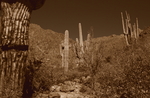 photo thumbnail #3