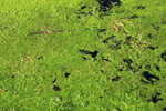 photo thumbnail #11