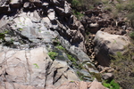 photo thumbnail #13