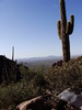 photo thumbnail #9