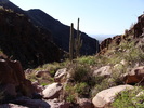 photo thumbnail #13