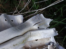 photo thumbnail #15