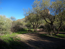 photo thumbnail #2