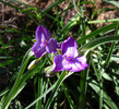 photo thumbnail #7