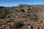 photo thumbnail #8