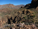 photo thumbnail #9