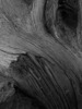 2012-01-07 :2: Buzzards Roost - SW Superstitions :: ssk44