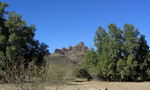 photo thumbnail #3