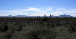 photo thumbnail #6