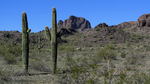 photo thumbnail #8