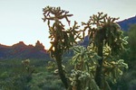 photo thumbnail #1