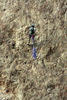 photo thumbnail #12