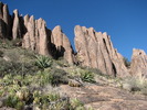 photo thumbnail #8