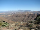 photo thumbnail #10