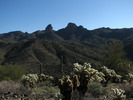 photo thumbnail #3