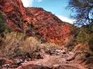 photo thumbnail #3