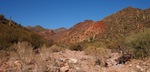 photo thumbnail #5