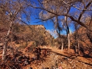 photo thumbnail #6