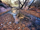 photo thumbnail #7