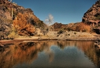 photo thumbnail #14
